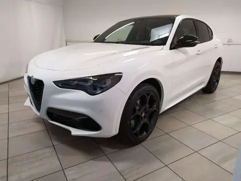 Annonce ALFA ROMEO STELVIO Diesel 2024 d'occasion 