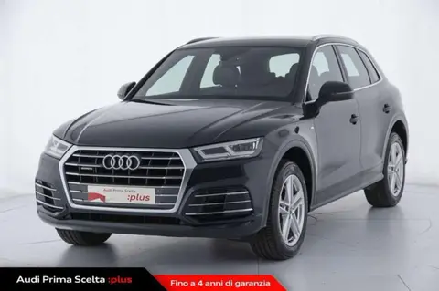 Used AUDI Q5 Diesel 2019 Ad 