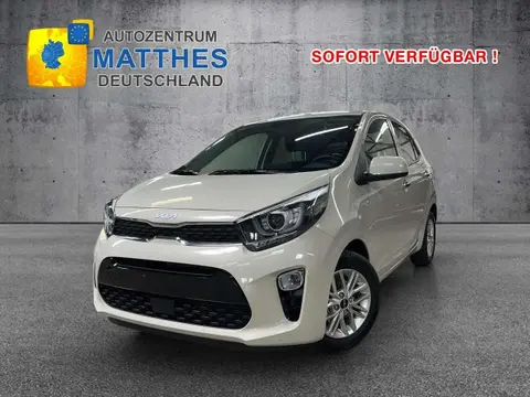 Used KIA PICANTO Petrol 2024 Ad 