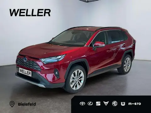 Used TOYOTA RAV4 Hybrid 2024 Ad 