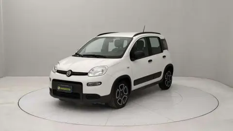 Used FIAT PANDA Hybrid 2021 Ad 