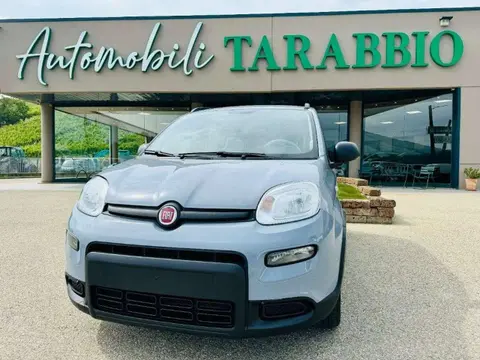 Annonce FIAT PANDA Hybride 2022 d'occasion 