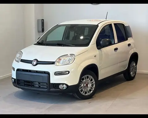 Annonce FIAT PANDA Hybride 2024 d'occasion 