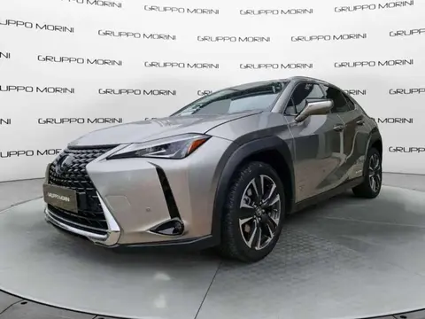 Used LEXUS UX Hybrid 2020 Ad 