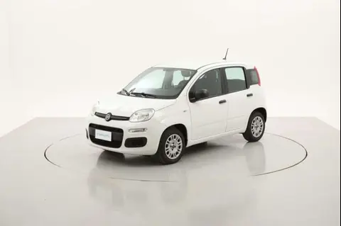 Used FIAT PANDA LPG 2020 Ad 