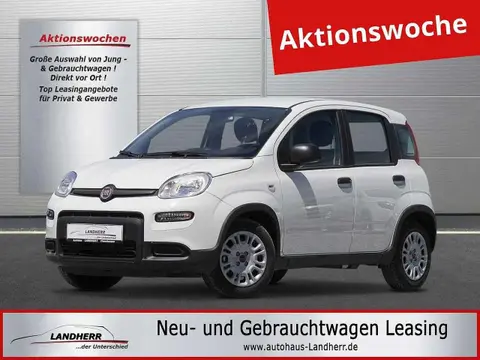 Used FIAT PANDA Petrol 2024 Ad 