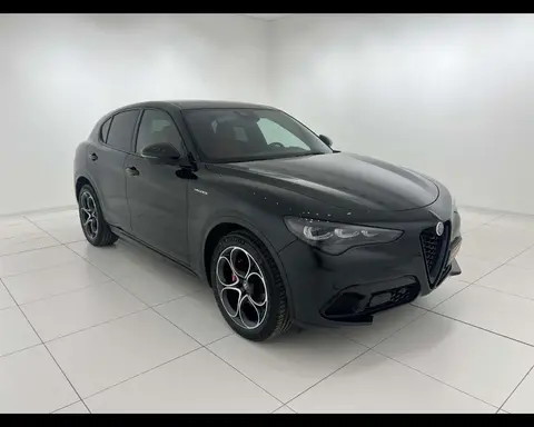 Used ALFA ROMEO STELVIO Diesel 2023 Ad 