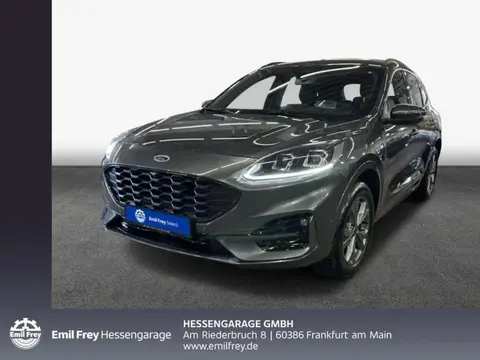 Annonce FORD KUGA Hybride 2023 d'occasion 