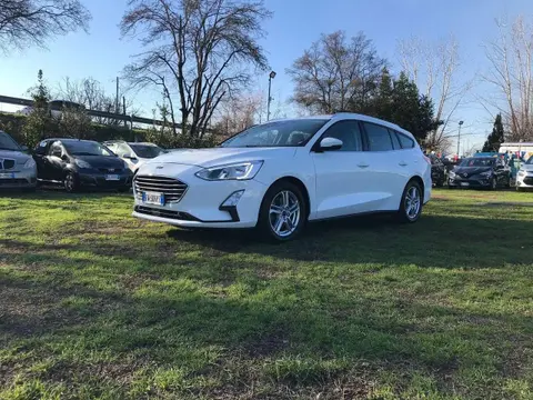 Annonce FORD FOCUS Diesel 2019 d'occasion 