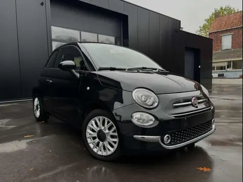 Used FIAT 500 Petrol 2019 Ad 