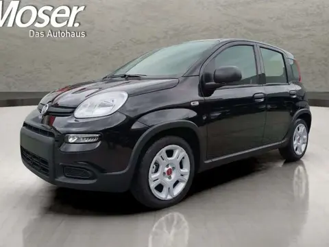 Annonce FIAT PANDA Hybride 2024 d'occasion 