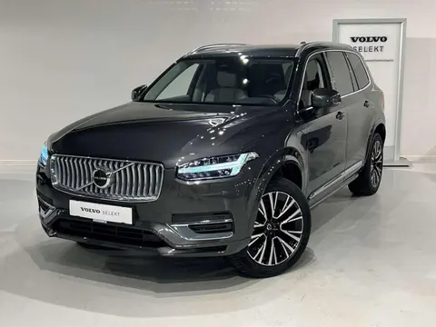 Used VOLVO XC90 Hybrid 2024 Ad 