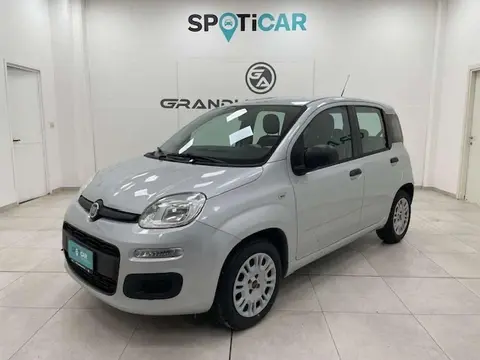 Used FIAT PANDA Petrol 2015 Ad 