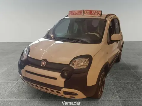 Used FIAT PANDA Hybrid 2024 Ad 