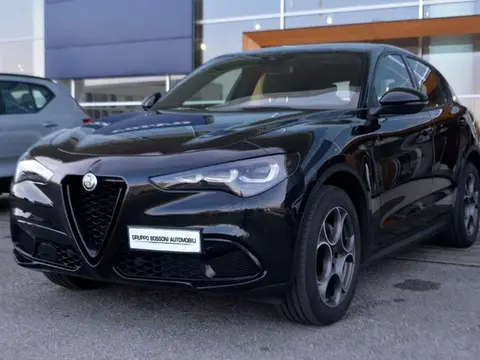 Used ALFA ROMEO STELVIO Diesel 2023 Ad 