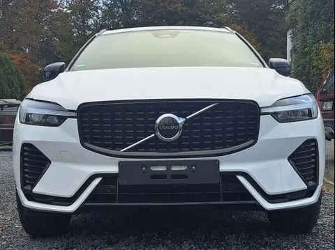 Annonce VOLVO XC60 Diesel 2021 d'occasion 