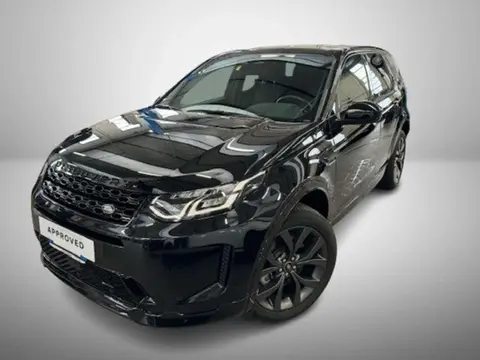 Used LAND ROVER DISCOVERY Hybrid 2023 Ad 