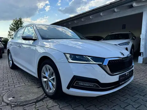 Annonce SKODA OCTAVIA Diesel 2021 d'occasion 