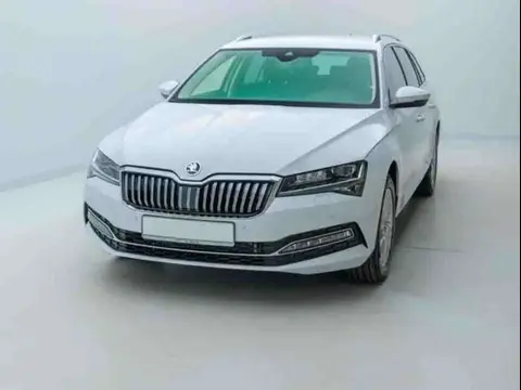 Used SKODA SUPERB Diesel 2024 Ad 