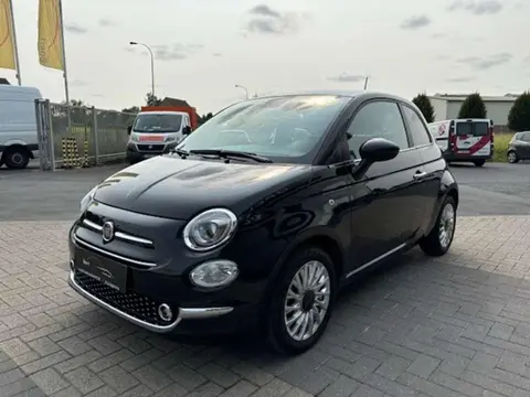 Used FIAT 500 Petrol 2023 Ad 