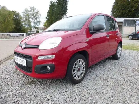 Annonce FIAT PANDA Essence 2016 d'occasion 