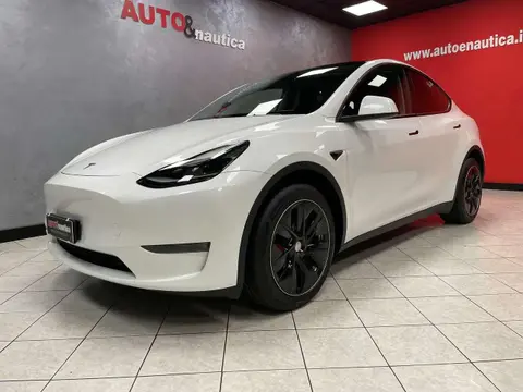 Used TESLA MODEL Y Electric 2023 Ad 