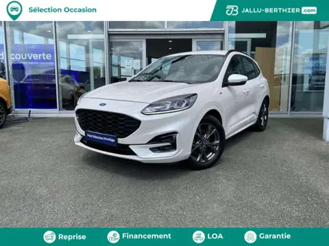 Annonce FORD KUGA Diesel 2020 d'occasion 