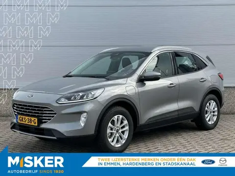 Used FORD KUGA Hybrid 2023 Ad 