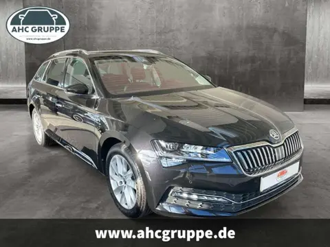 Annonce SKODA SUPERB Diesel 2021 d'occasion 