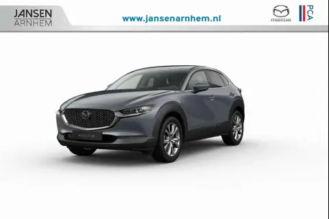 Annonce MAZDA CX-30 Hybride 2024 d'occasion 