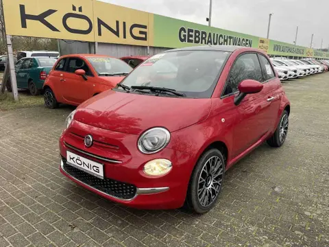 Used FIAT 500 Petrol 2023 Ad 