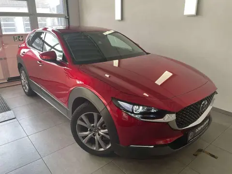 Annonce MAZDA CX-30 Essence 2021 d'occasion 