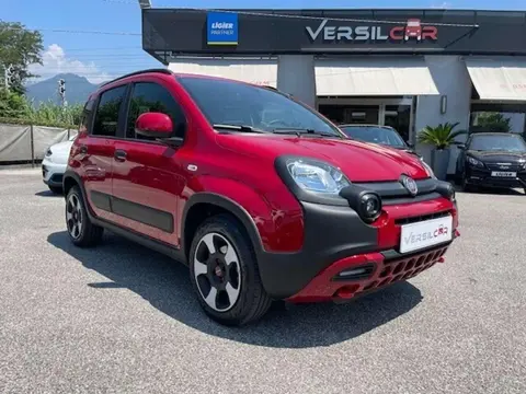 Annonce FIAT PANDA Hybride 2023 d'occasion 