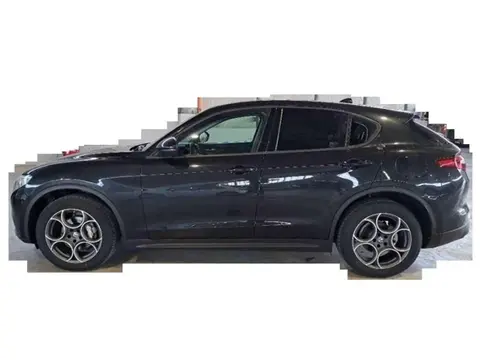 Used ALFA ROMEO STELVIO Diesel 2018 Ad 