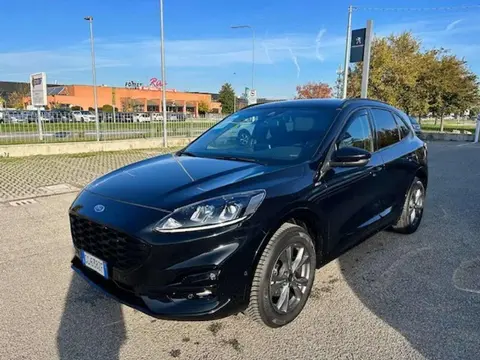 Annonce FORD KUGA Hybride 2020 d'occasion 