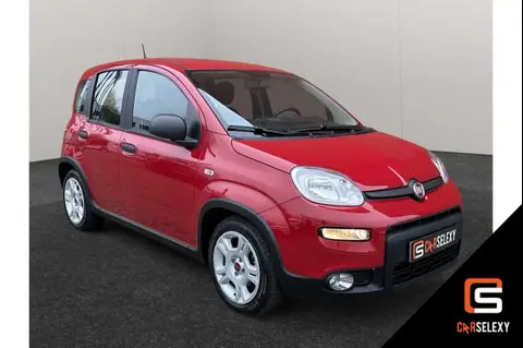 Annonce FIAT PANDA Essence 2024 d'occasion 