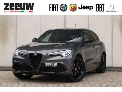 Used ALFA ROMEO STELVIO Petrol 2021 Ad 