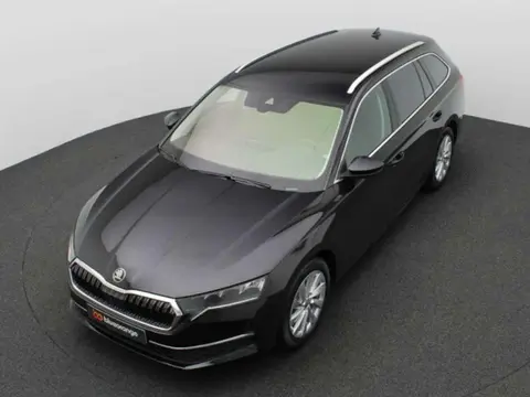 Used SKODA OCTAVIA Petrol 2024 Ad 