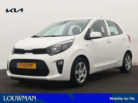 Used KIA PICANTO Petrol 2023 Ad 