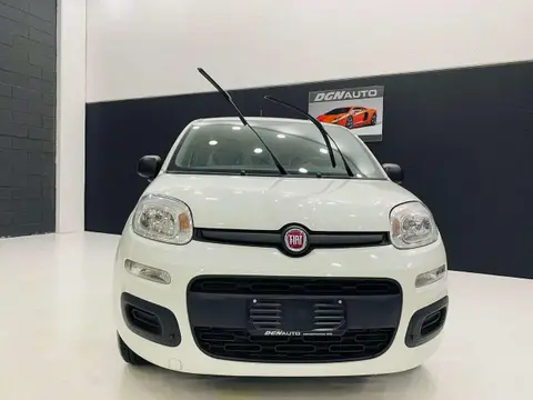 Used FIAT PANDA Petrol 2019 Ad 