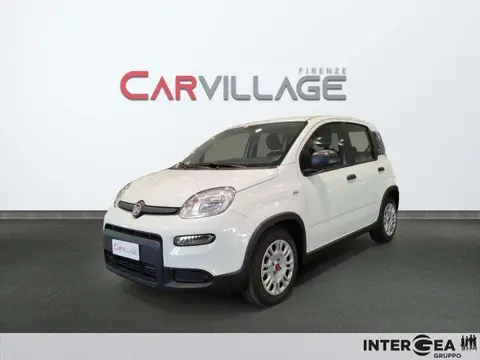 Used FIAT PANDA Hybrid 2023 Ad 