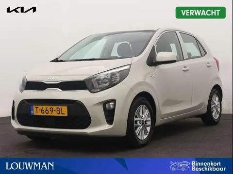 Used KIA PICANTO Petrol 2023 Ad 