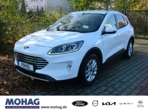 Used FORD KUGA Diesel 2023 Ad 