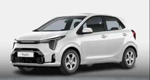 Annonce KIA PICANTO Essence 2024 d'occasion 