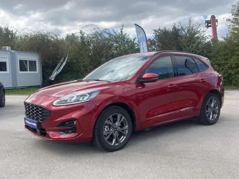 Annonce FORD KUGA  2020 d'occasion 