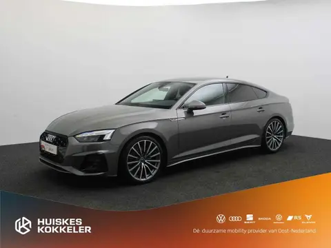 Used AUDI A5 Hybrid 2024 Ad 