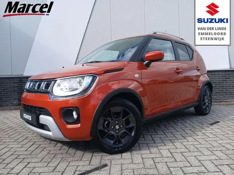 Annonce SUZUKI IGNIS Essence 2024 d'occasion 