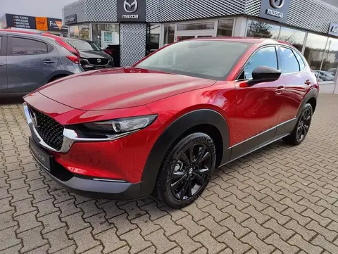 Annonce MAZDA CX-30 Hybride 2024 d'occasion 