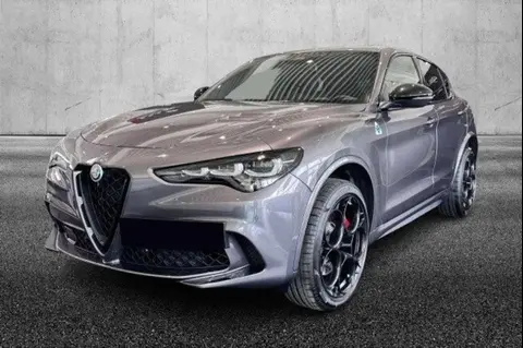 Annonce ALFA ROMEO STELVIO Essence 2024 d'occasion 