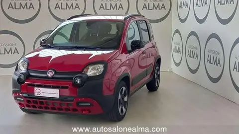 Used FIAT PANDA Hybrid 2023 Ad 